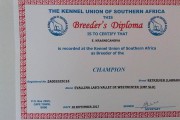 breeder-diplom.jpg