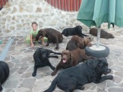 Moja dcérka na návšteve v CHS Sorbon´s legend