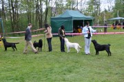 dsc_1866.jpg