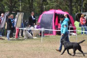 dsc_0075.jpg