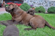 dsc_1560.jpg