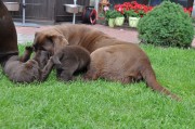 dsc_1568.jpg
