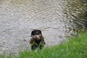 dsc_2554.jpg