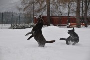 winter-2011-151.jpg