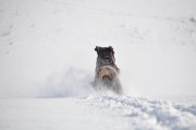 winter-2011-199.jpg